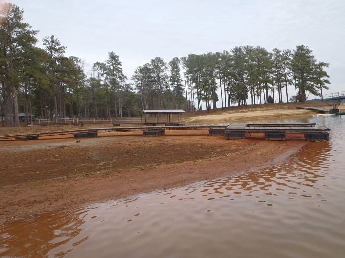 A dirt track with trees in the background