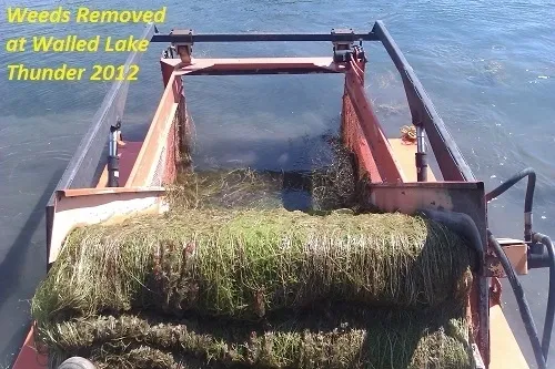 A boat filled with grass on the water.