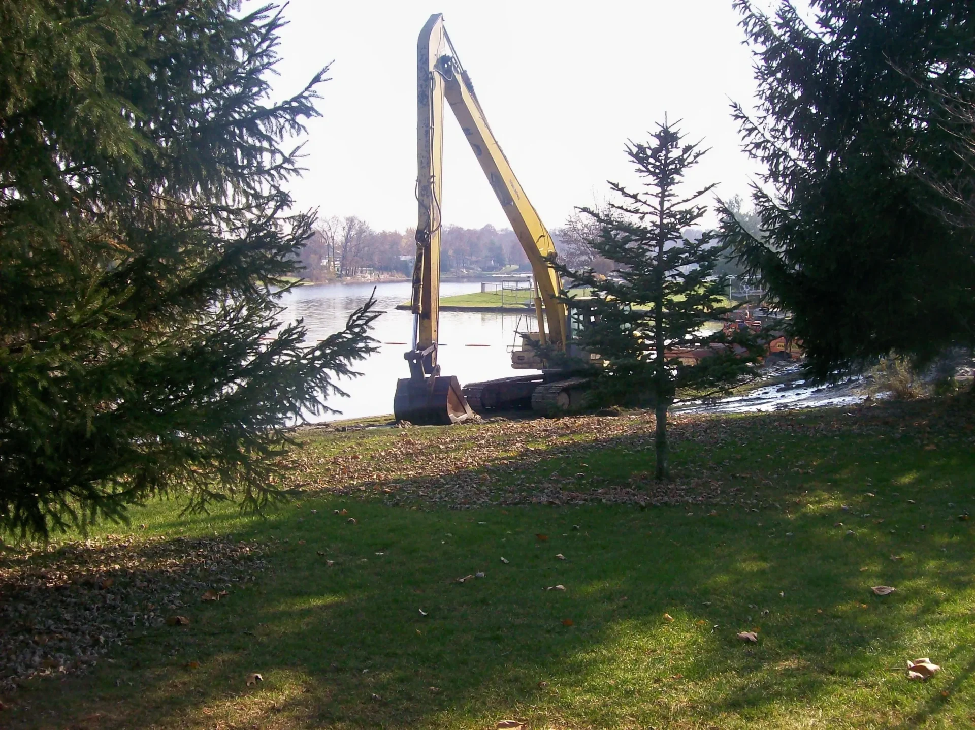 A large crane is in the grass near some trees.