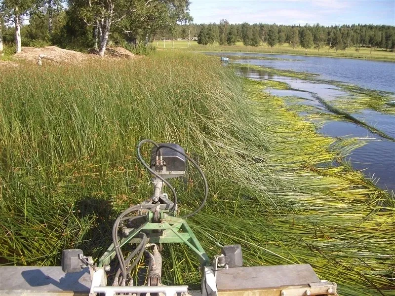 A boat is parked on the shore of a lake.