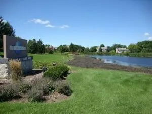 A pond with grass and bushes in the foreground.