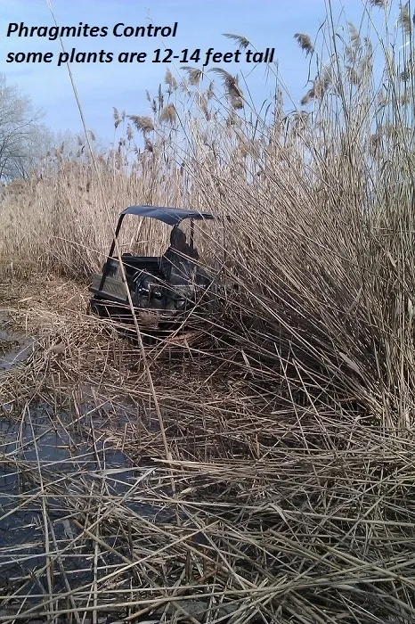 A golf cart is sitting in the grass.