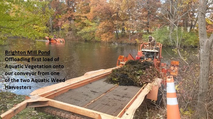 A boat filled with leaves and a pile of wood.