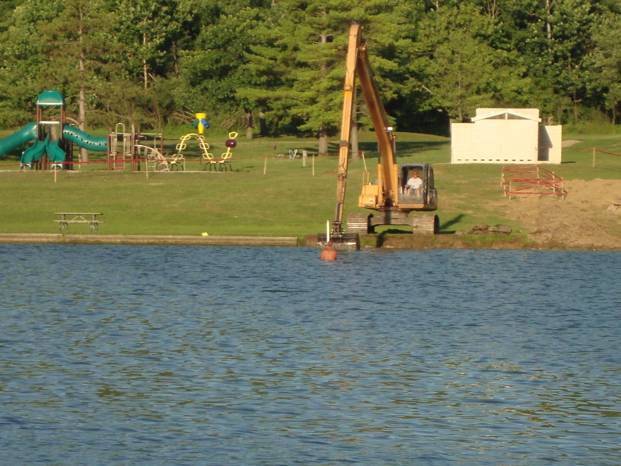 A crane is in the water near some trees.