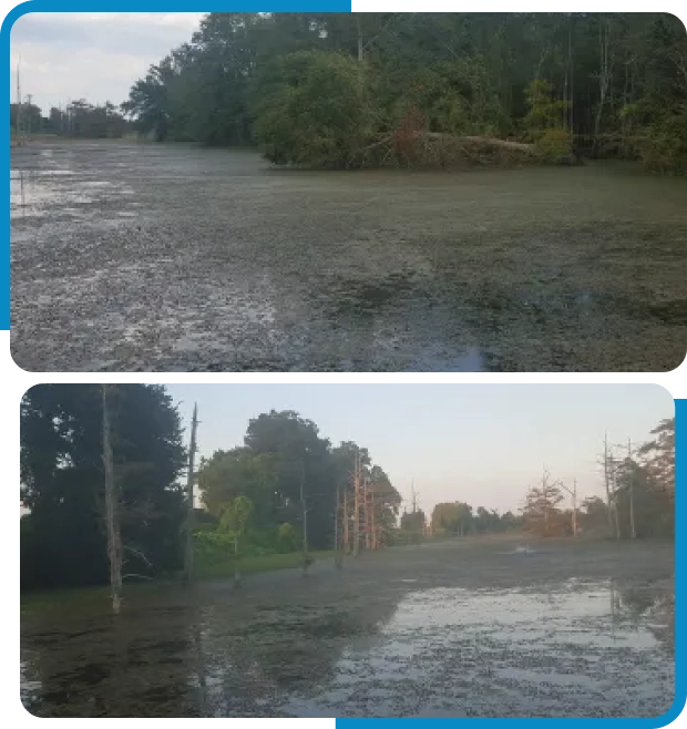 Two pictures of a flooded area with trees and bushes.