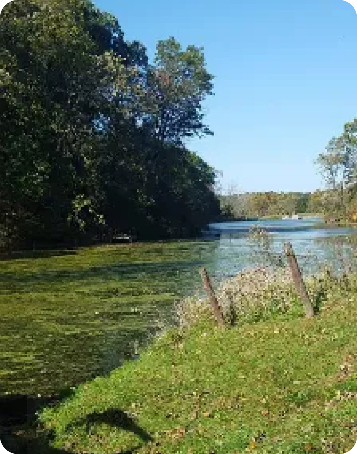 A river with trees and grass in the foreground.