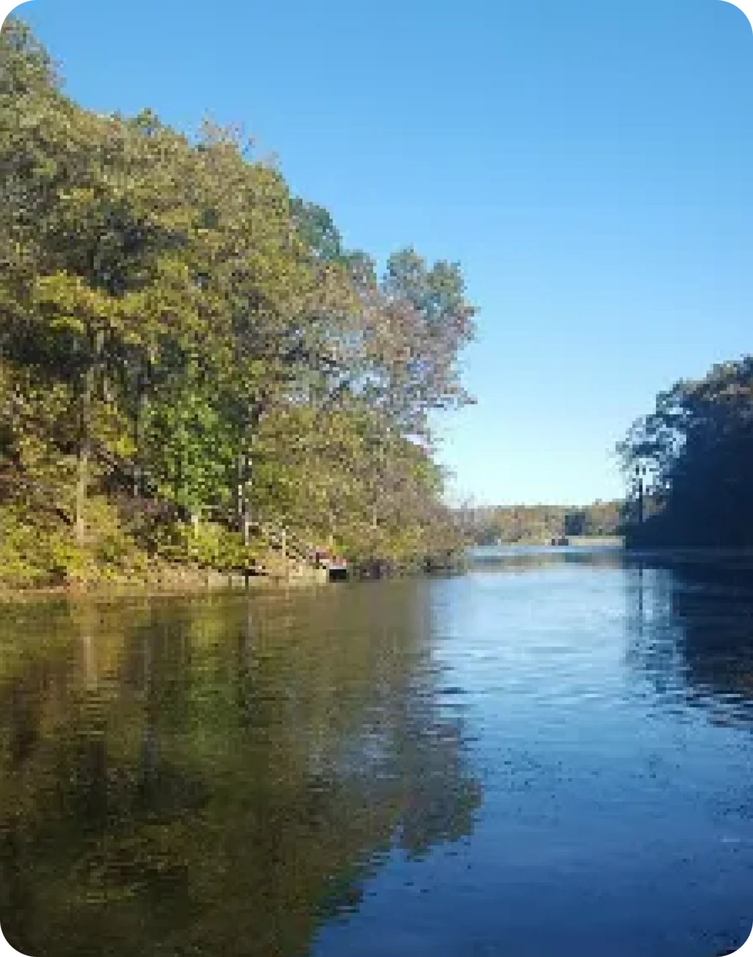 A body of water with trees and bushes on it.