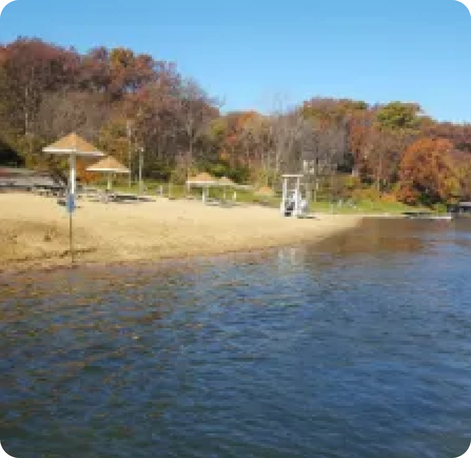 A sandy beach with trees and a body of water