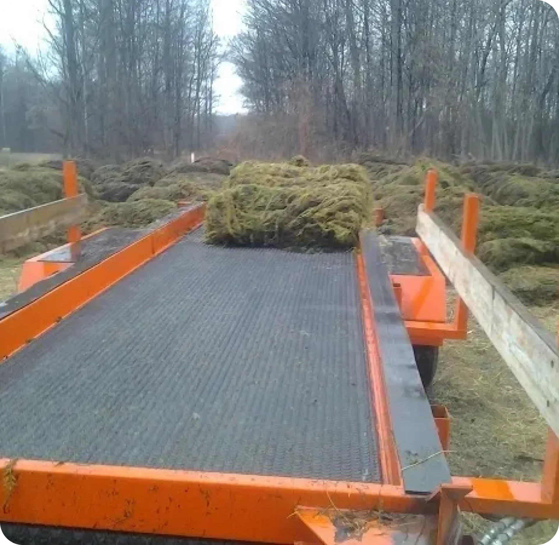 A trailer with a bunch of grass on it