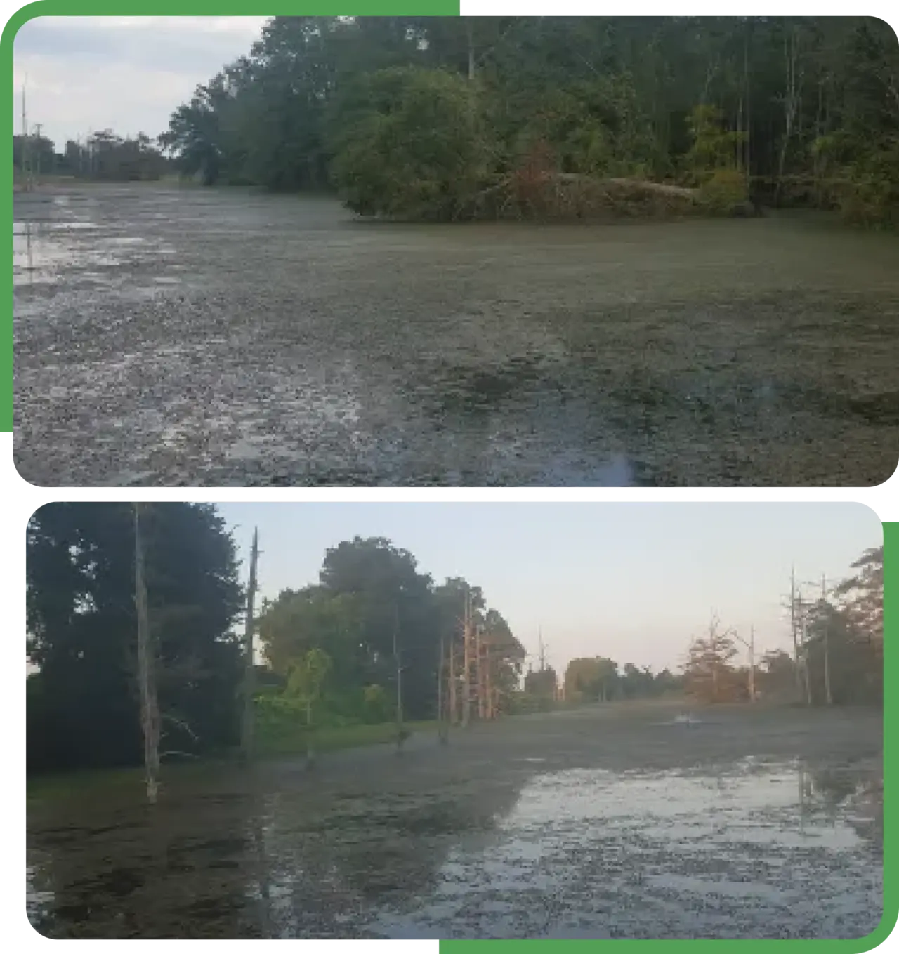 Two pictures of a flooded area with trees in the background.